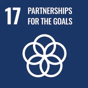 UN SDG 17